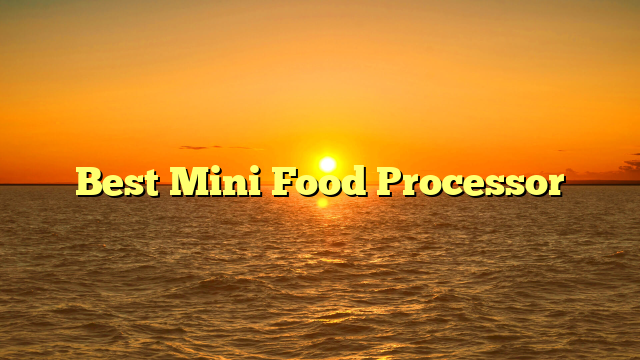 Best Mini Food Processor
