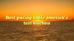Best paring knife america’s test kitchen