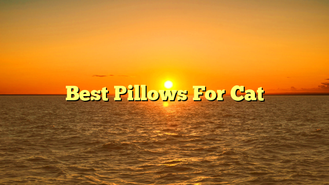Best Pillows For Cat