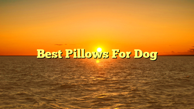 Best Pillows For Dog