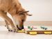 Best Interactive Dog Toy: Keep Your Pup Engaged and Happy!